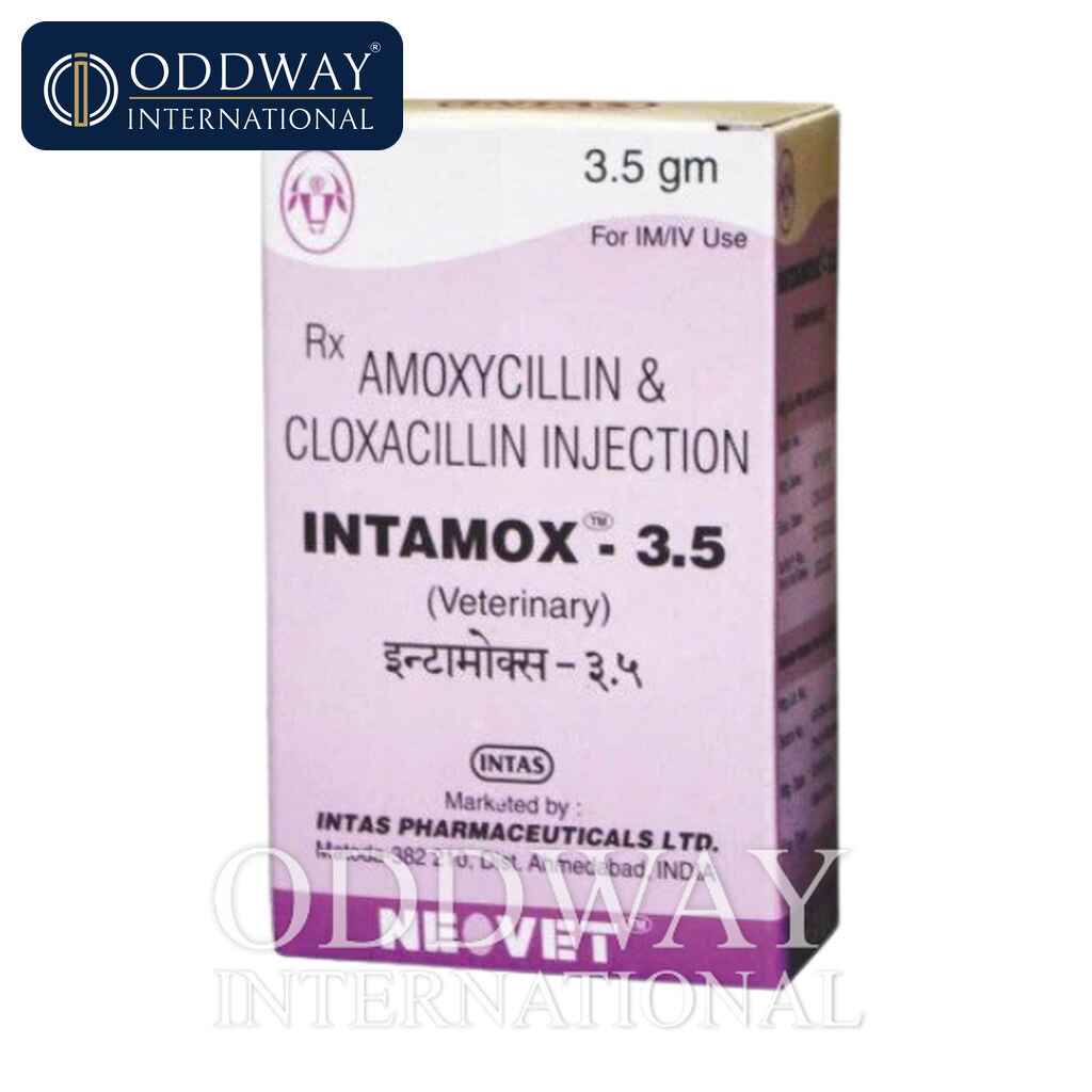 Intamox Injection wholesale supply for exporters and distributors