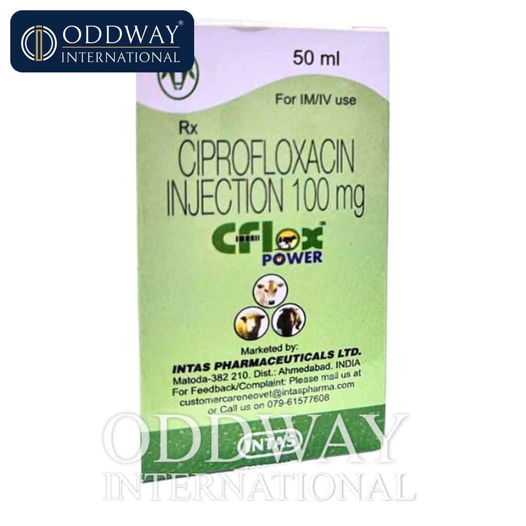 Ciprofloxacin for dogs wholesale export supply