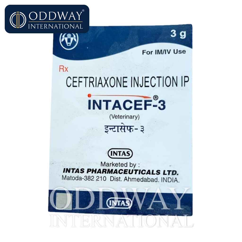Ceftriaxone Injection (Veterinary) wholesale supply Ceftriaxone Injection (Veterinary) vial for wholesale export supply