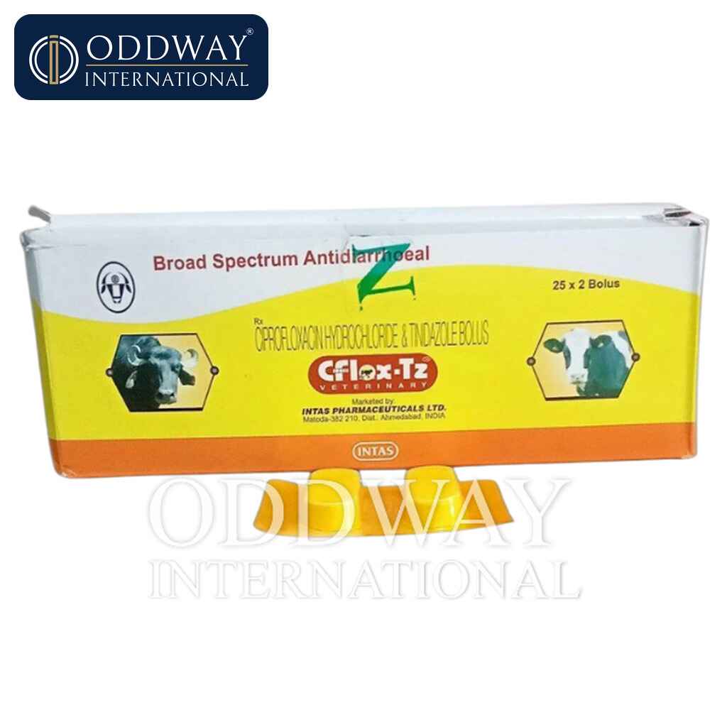 Cflox TZ Bolus Wholesale Supply Cflox TZ Bolus wholesale supply for veterinary procurement