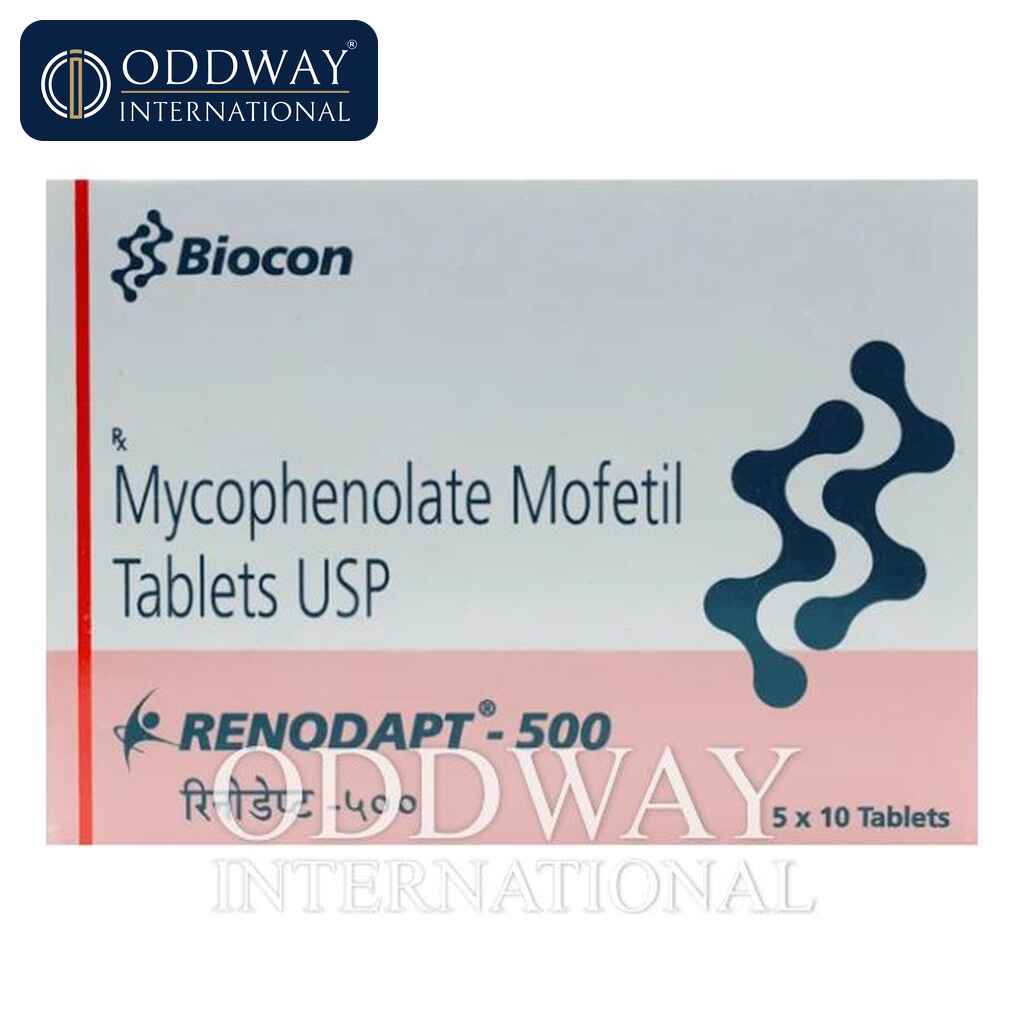Renodapt 500 Tablets supplier for wholesale pharmaceutical procurement