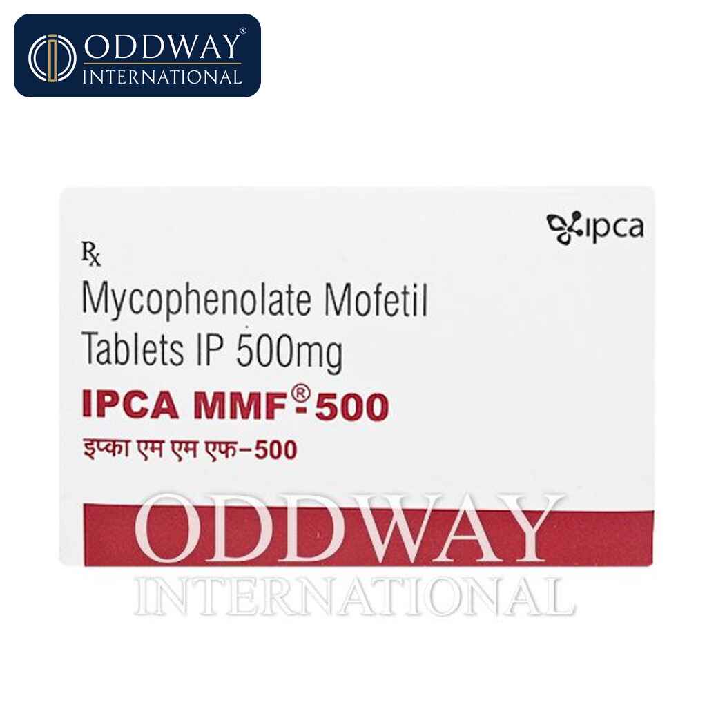 Mycophenolate 500 mg Tablet Wholesale Supply Mycophenolate 500 mg Tablet wholesale procurement support