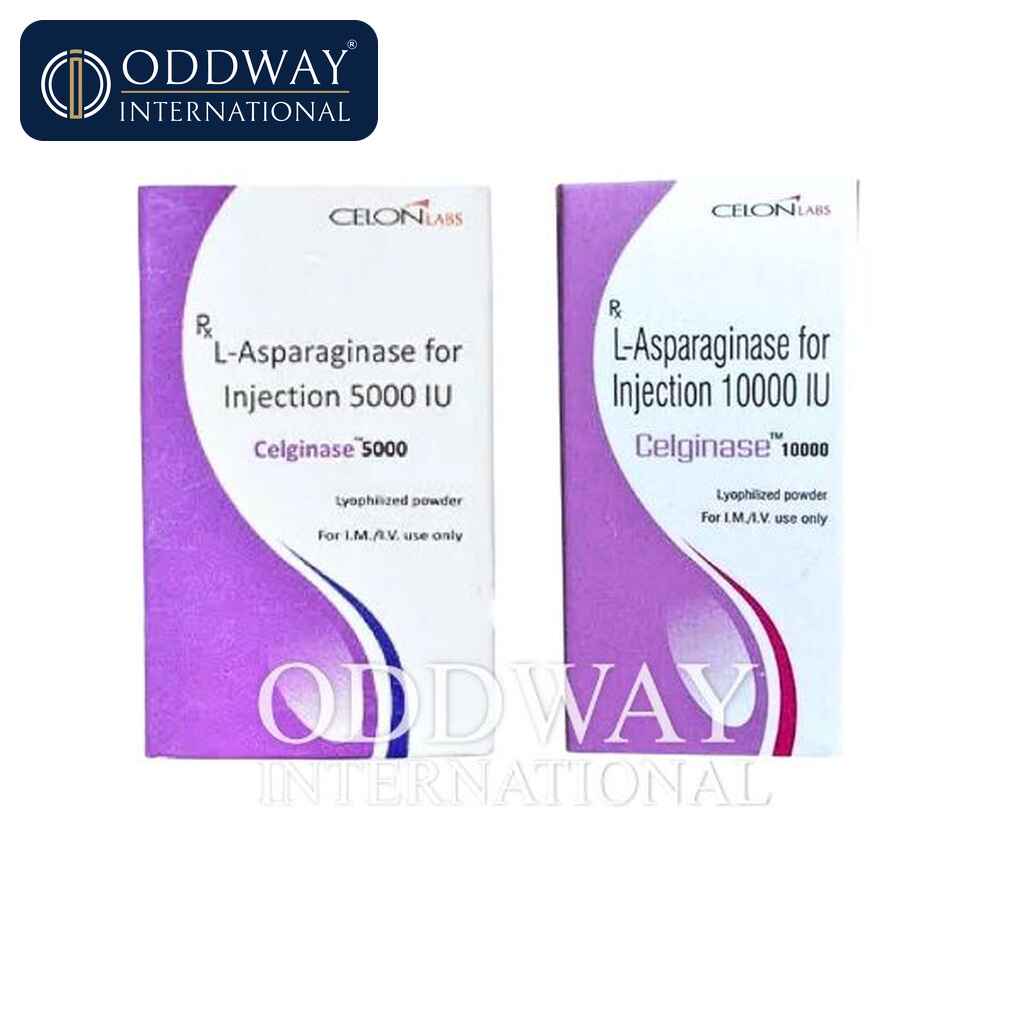 用于药品批发出口的 L Asparginase 注射剂供应商