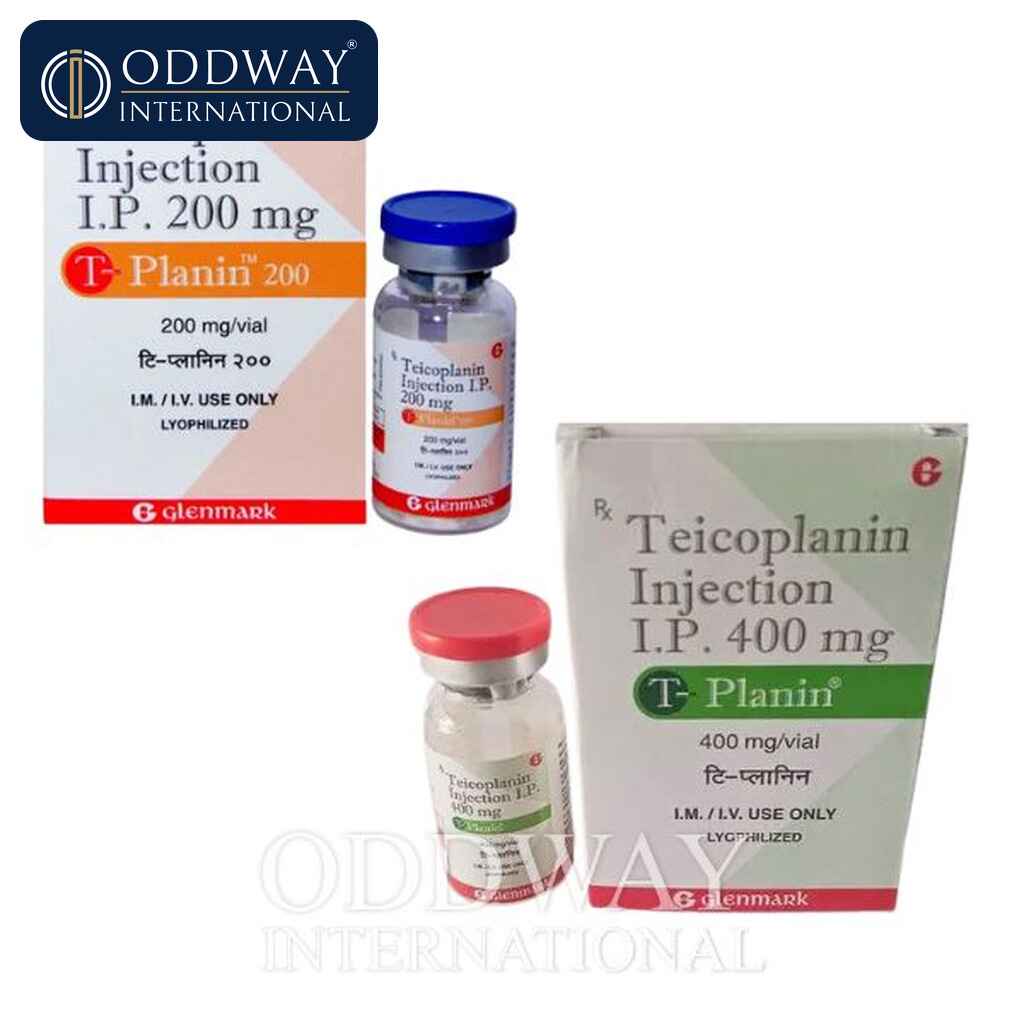 Teicoplanin IV Infusion Exporter Teicoplanin IV Infusion exporter supply support for hospitals and importers