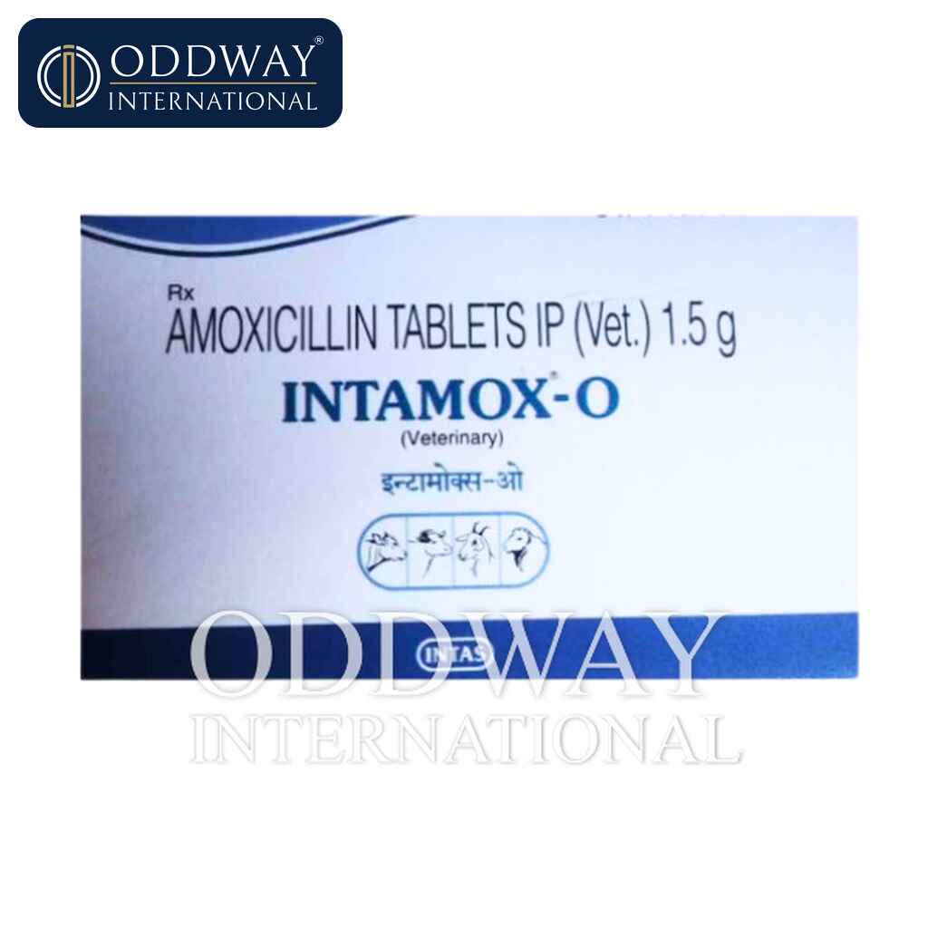 Amoxicillin bolus Intamox O tablet for veterinary wholesale supply