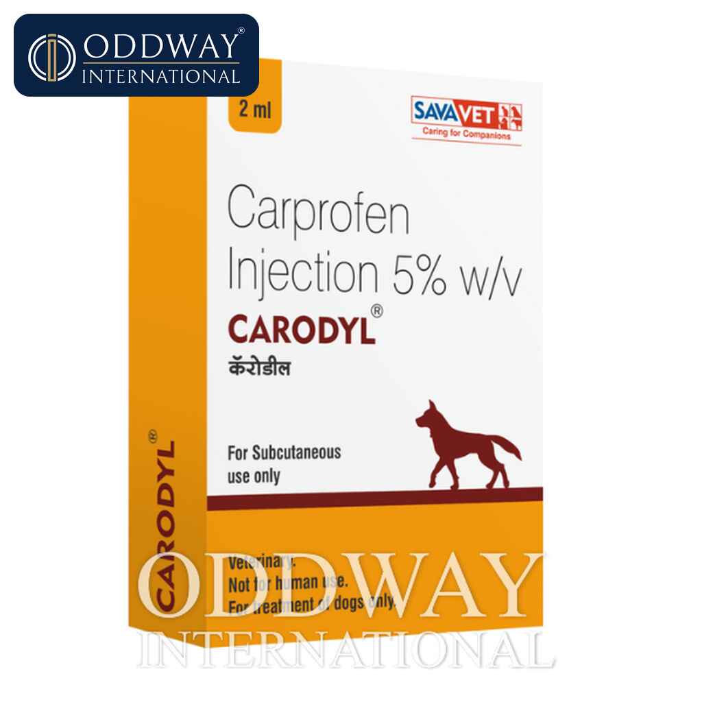 Carprofen Injection For Dogs wholesale supply for veterinary distributors