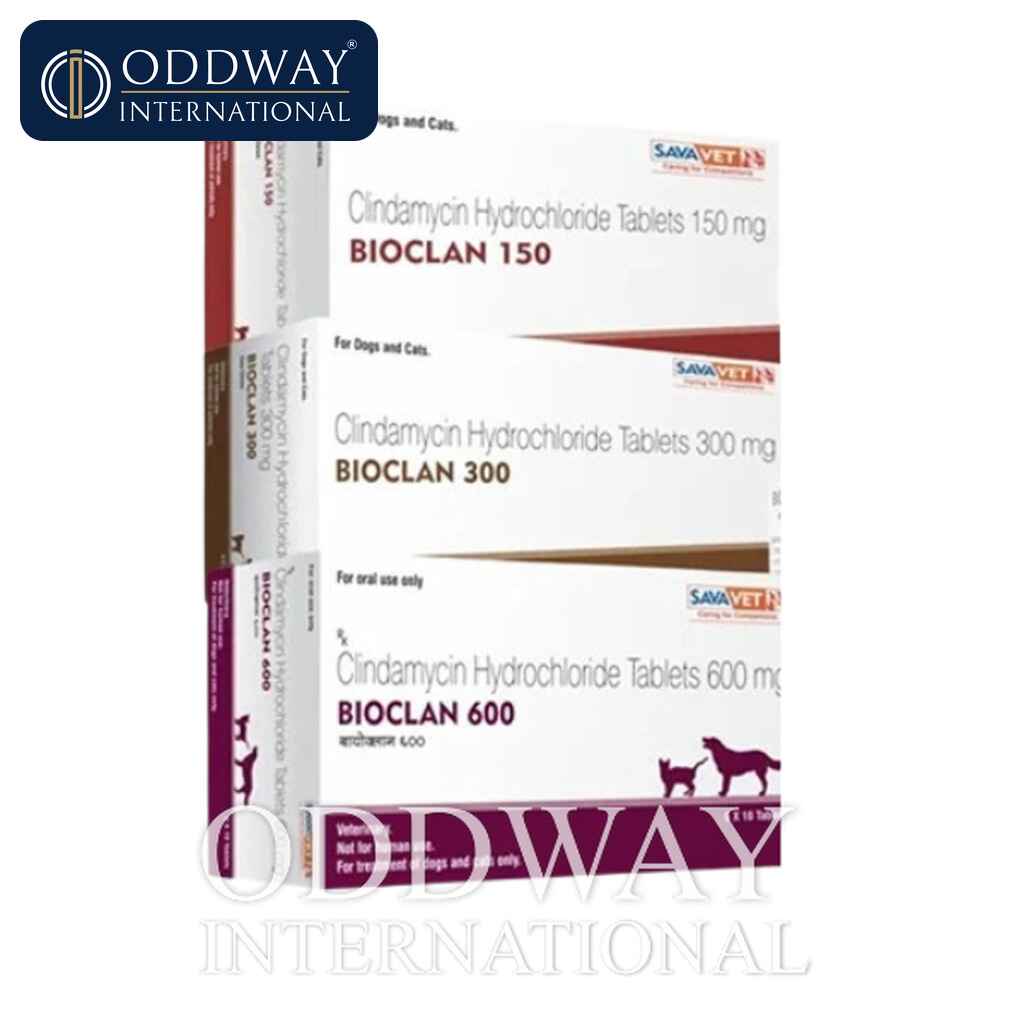 Clindamycin For Dogs & Cats wholesale supply for veterinary procurement