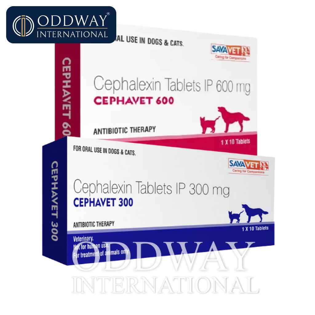 Cephalexin For Dogs & Cats wholesale export supply