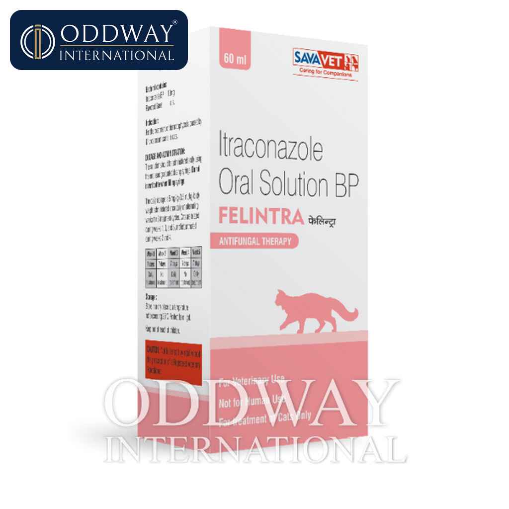 Itraconazole For Cats wholesale export supply with documentation support