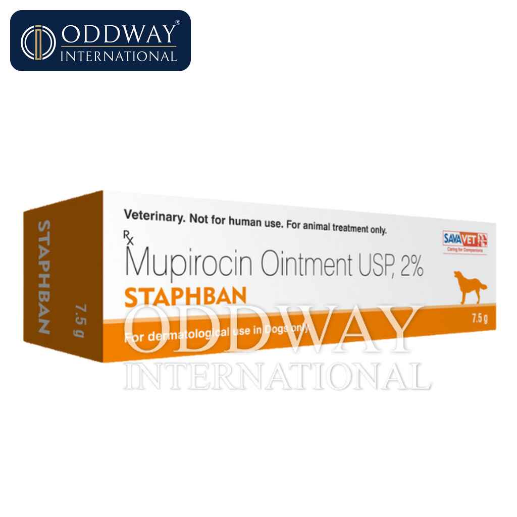Mupirocin ointment for dogs wholesale supply for veterinary procurement