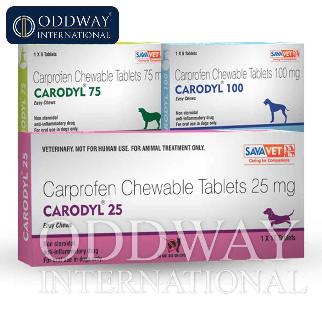 Carprofen for dogs wholesale export supply