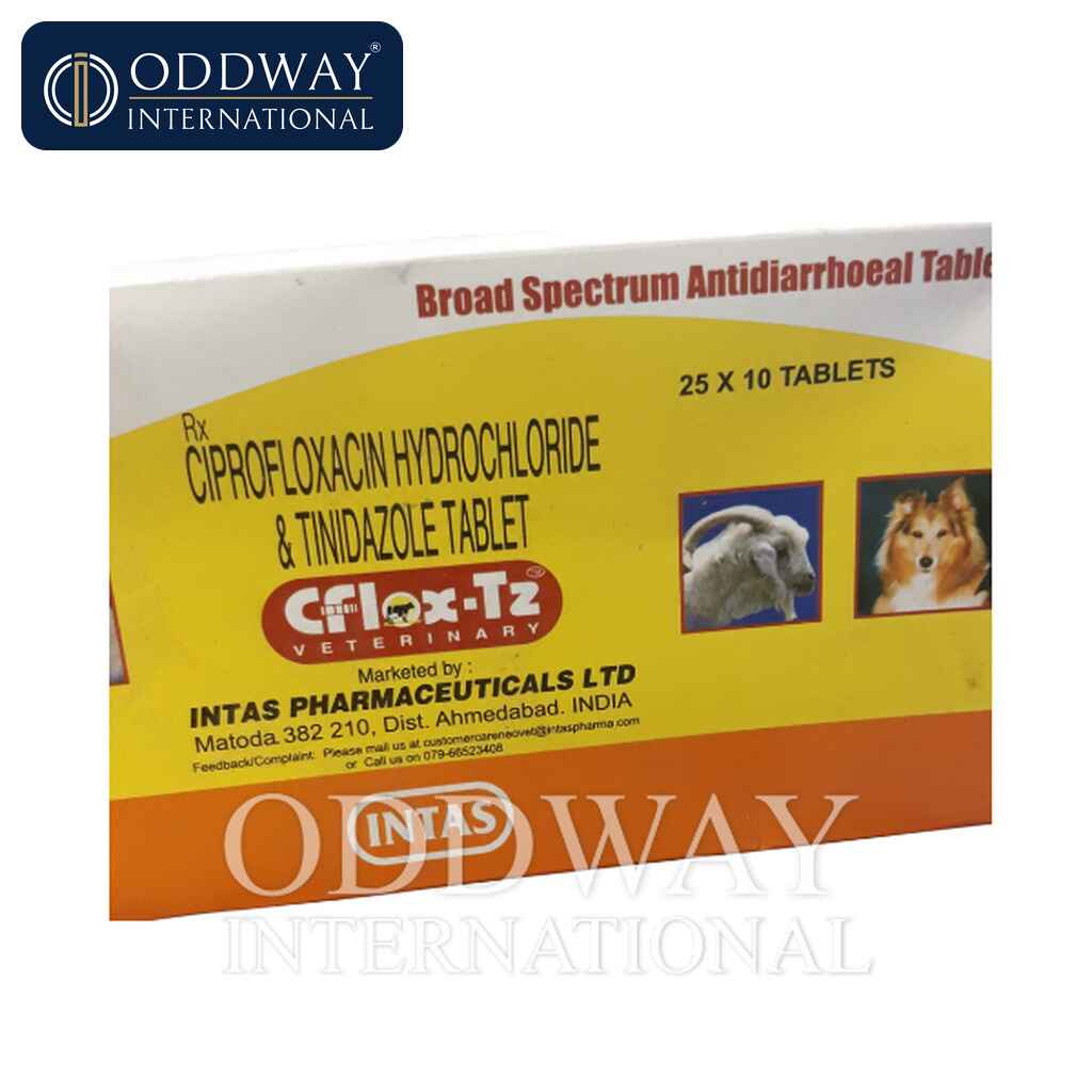 Ciprofloxacin and tinidazole bolus for veterinary wholesale supply