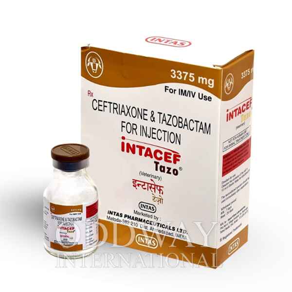 Order Intacef Tazo at lowest price Intacef Tazo