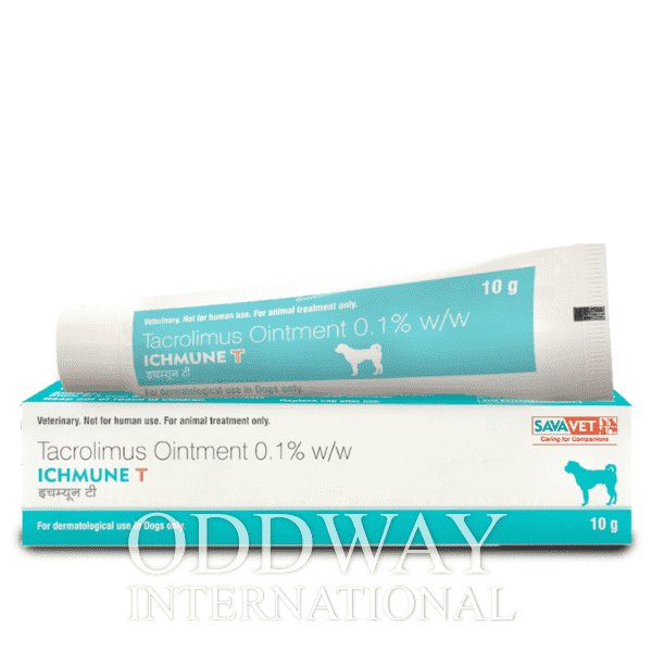 Order Ichmune T at lowest price Ichmune T